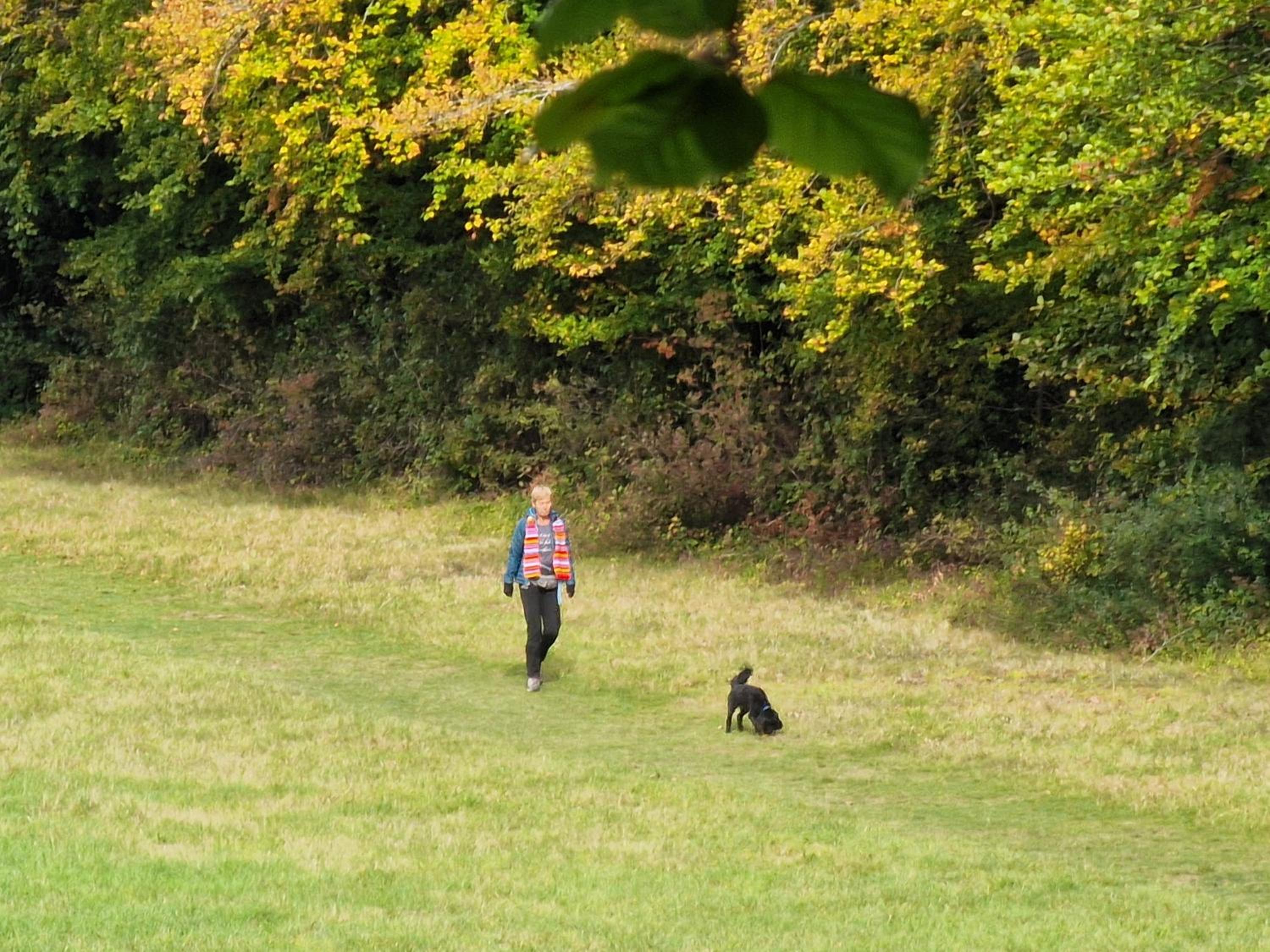 Woodcutters House Beechlawns