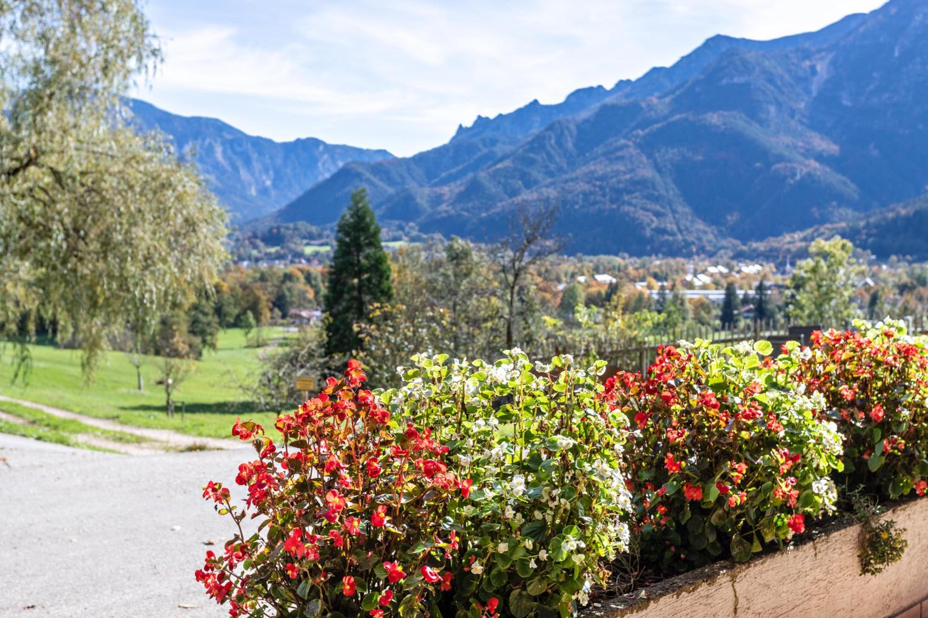 Ferienwohnung Alpenrose