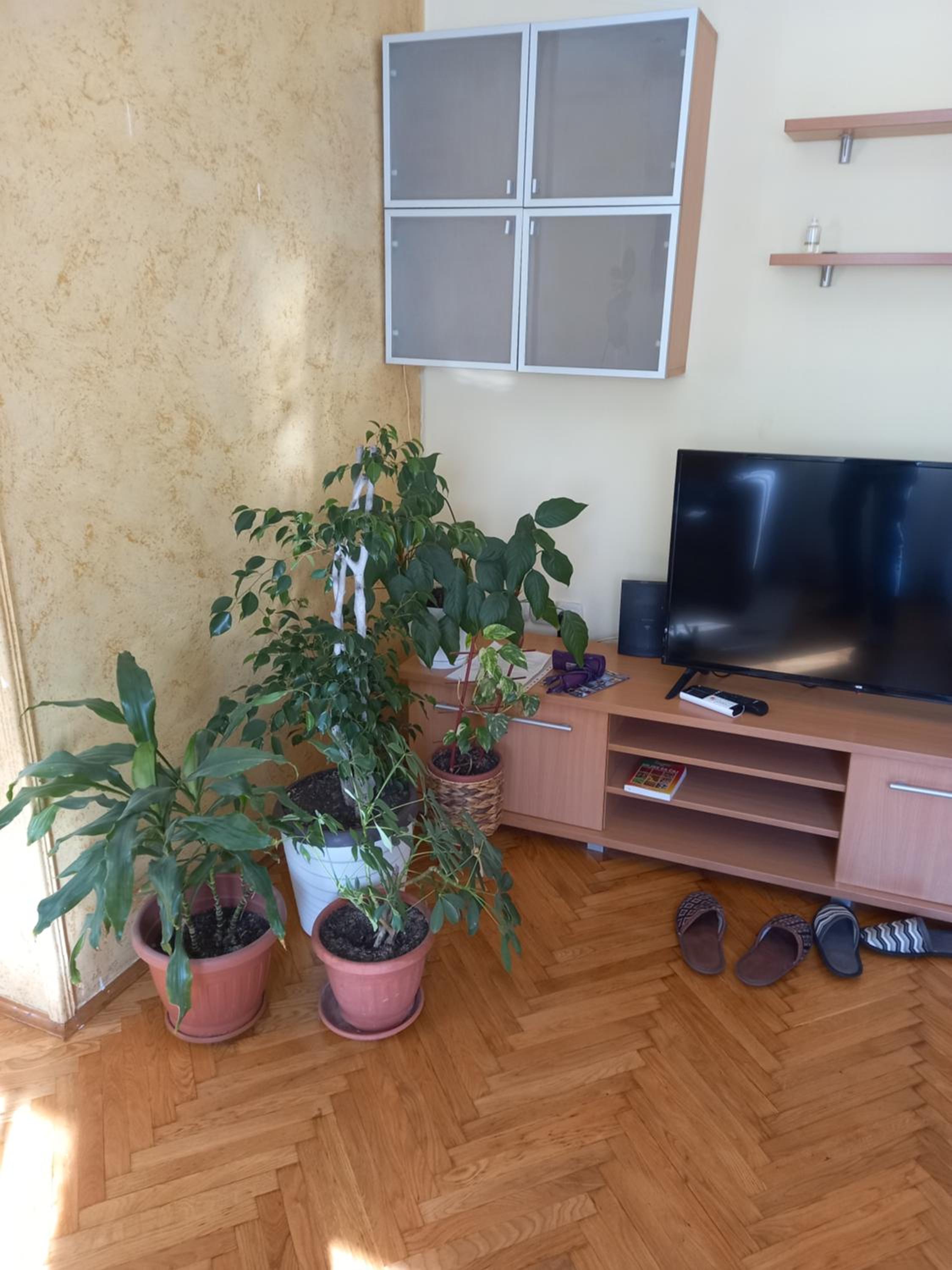 Photo 49