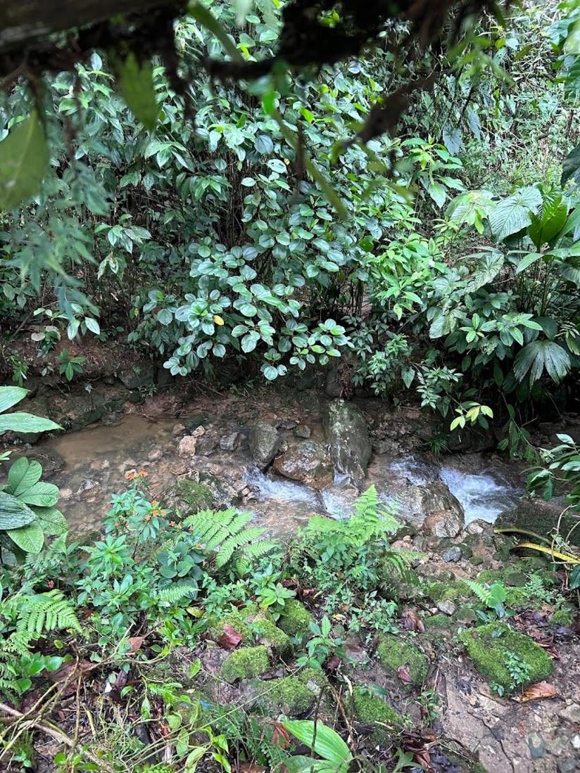 Eco Hostal Tierra de Agua y Fuego