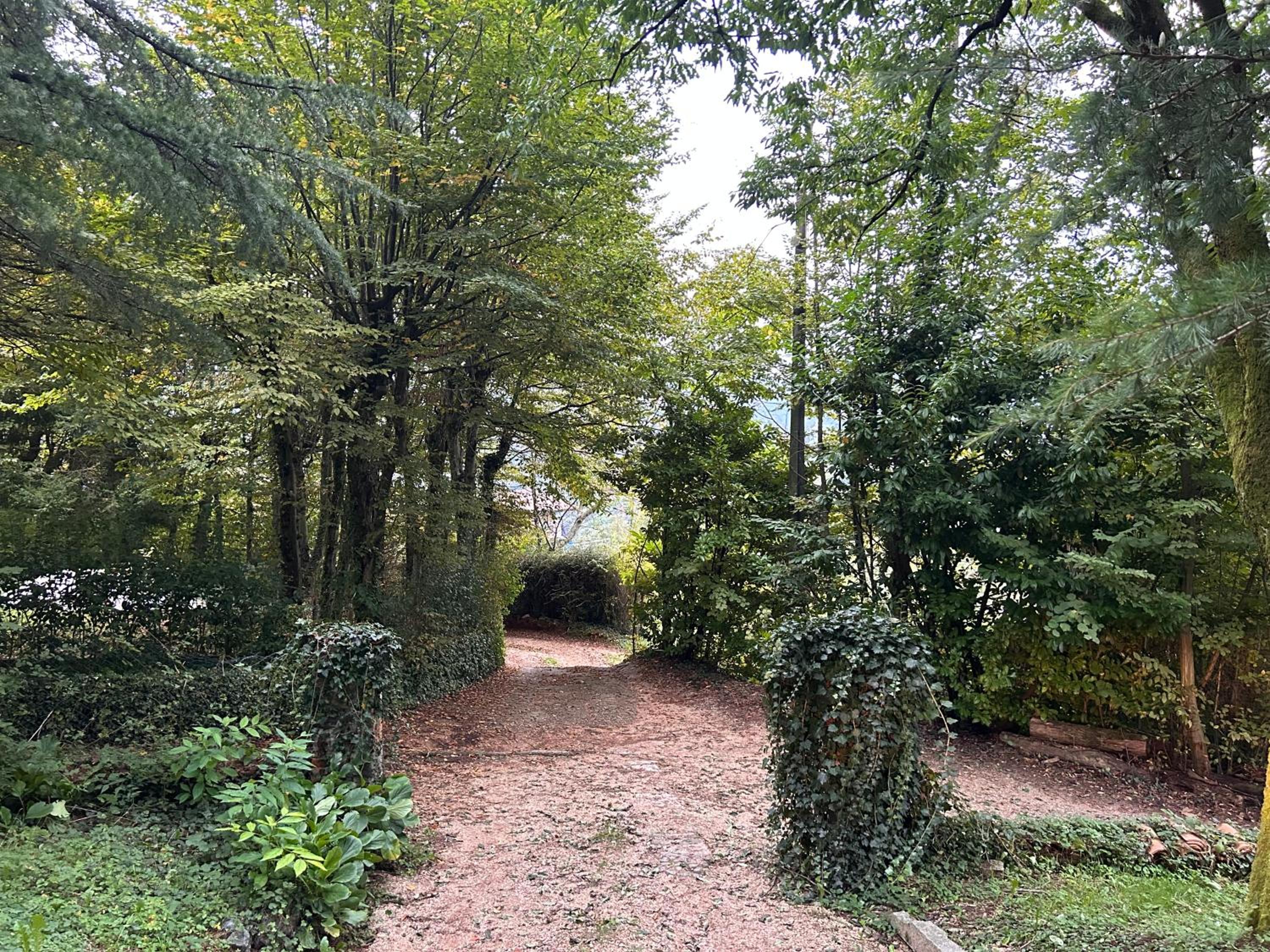 Parco Vasela view 2