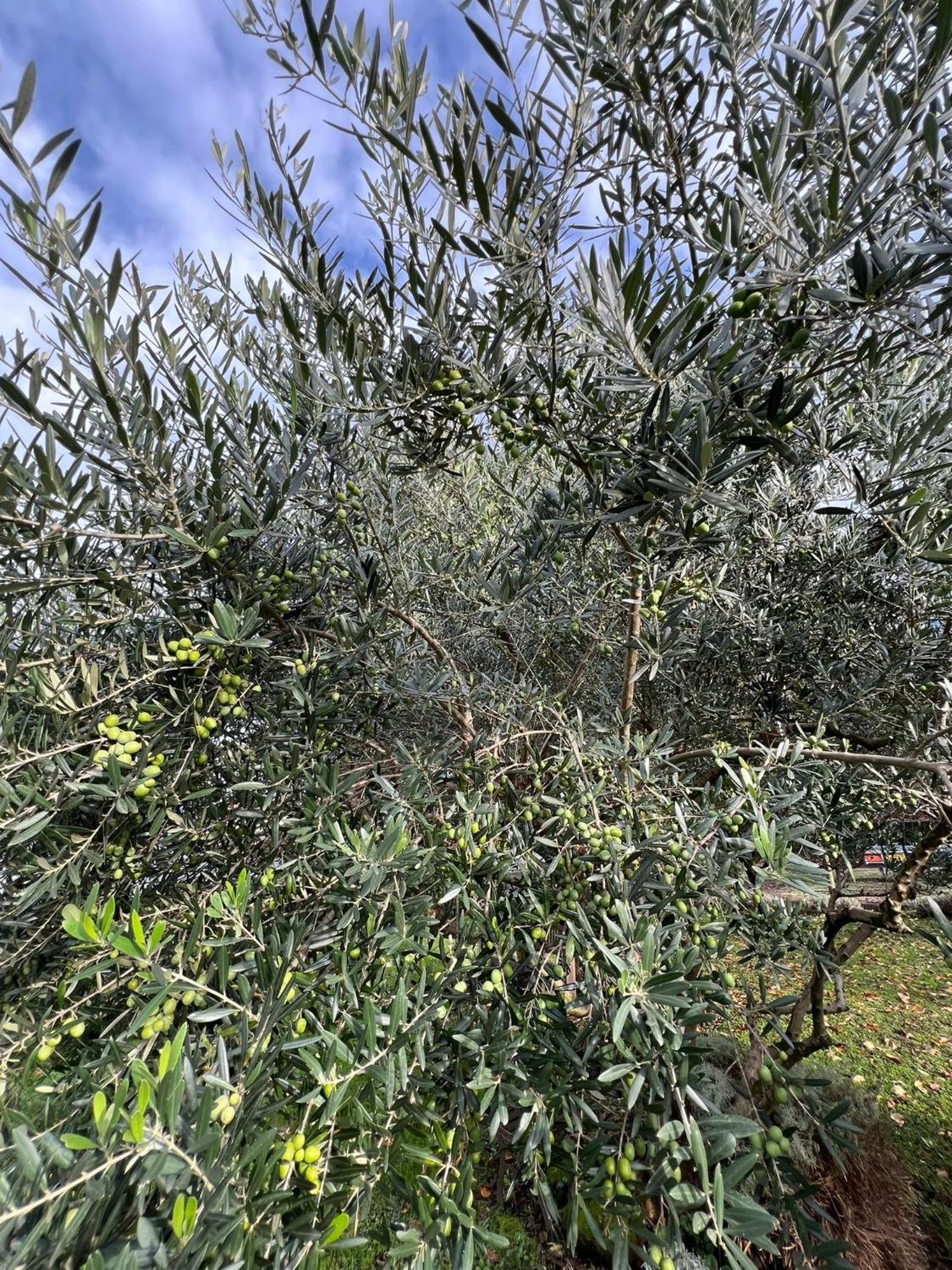 Photo 40
