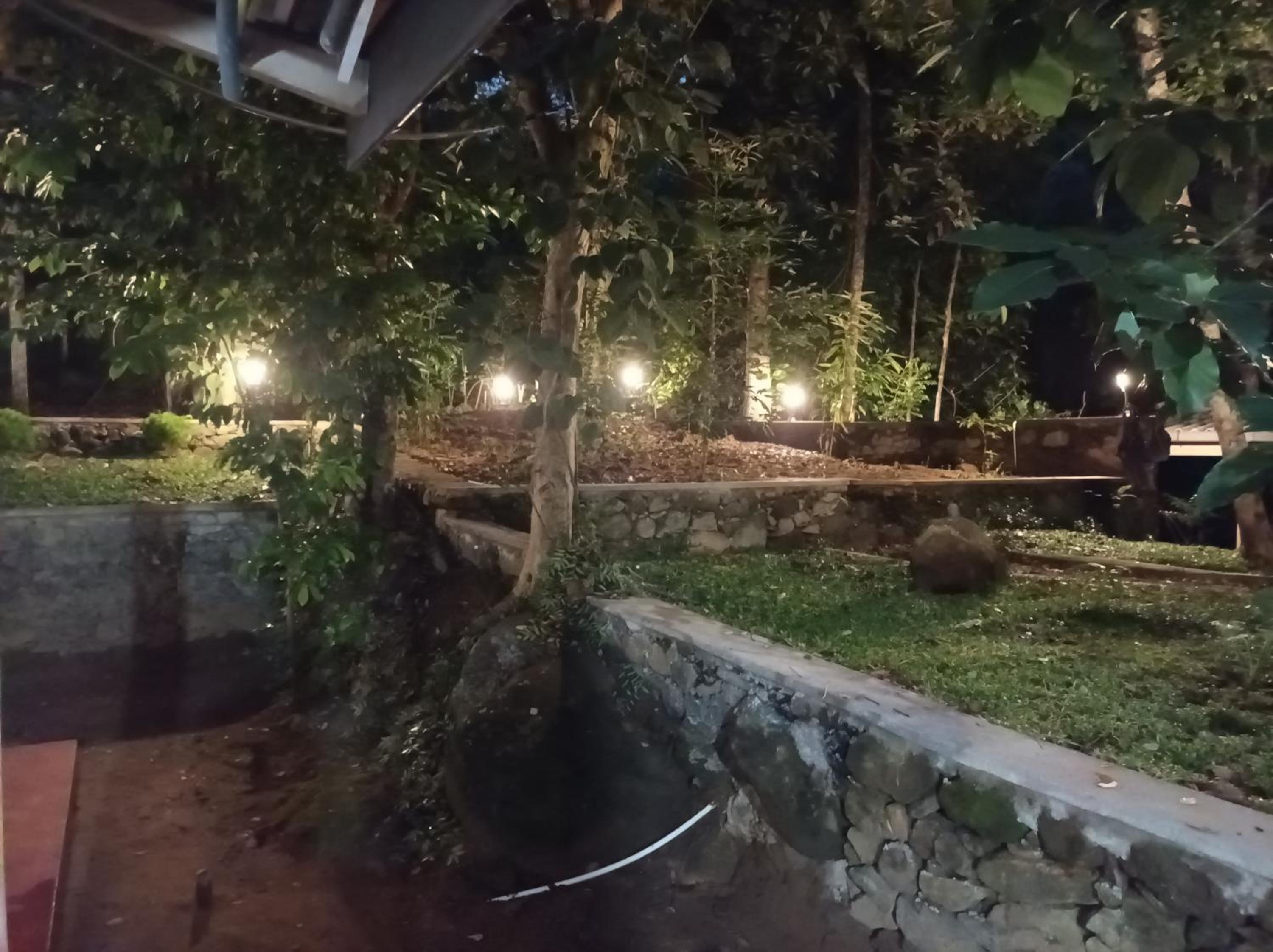 Photo 50