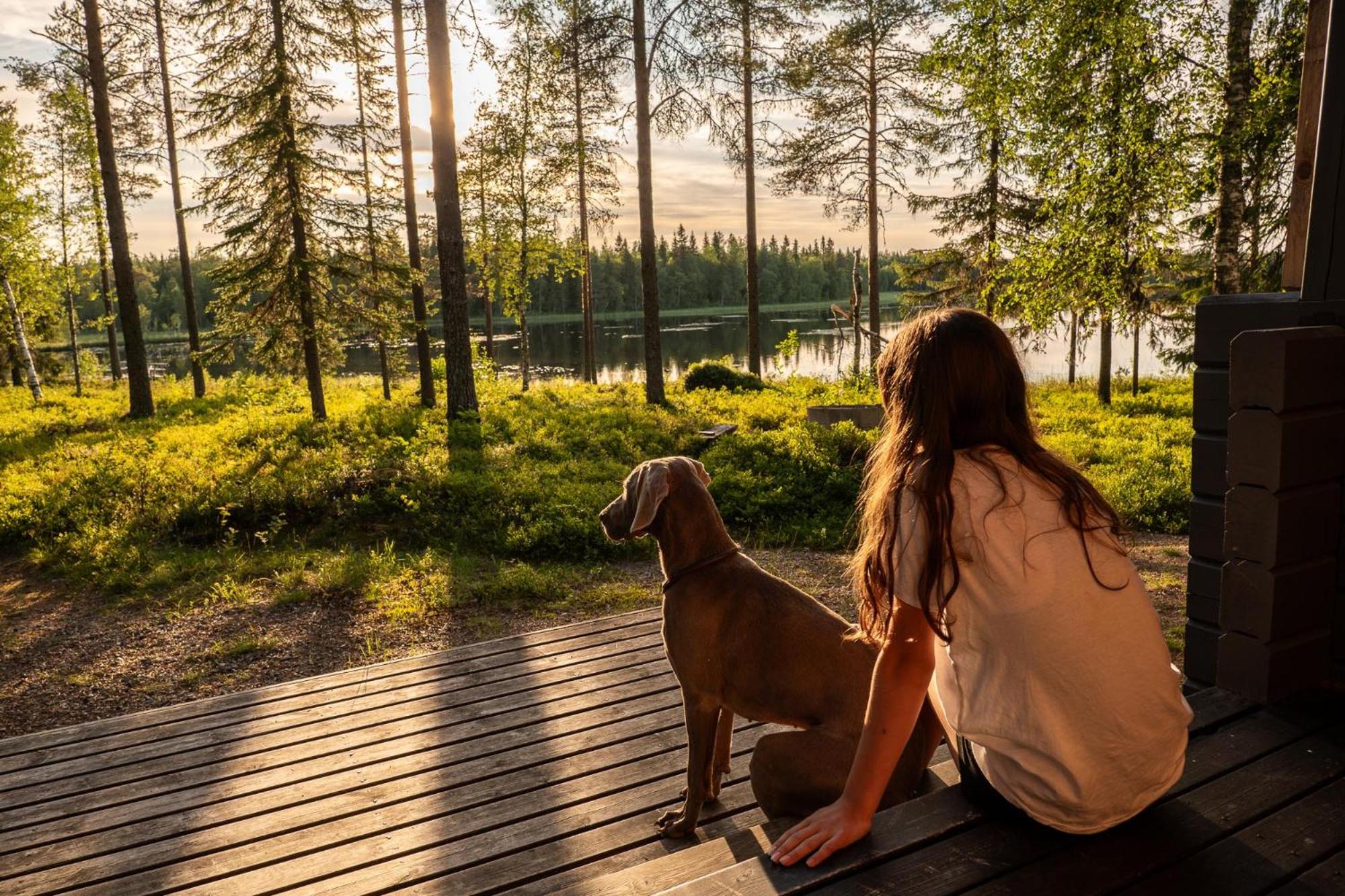 Metsä Kolo
