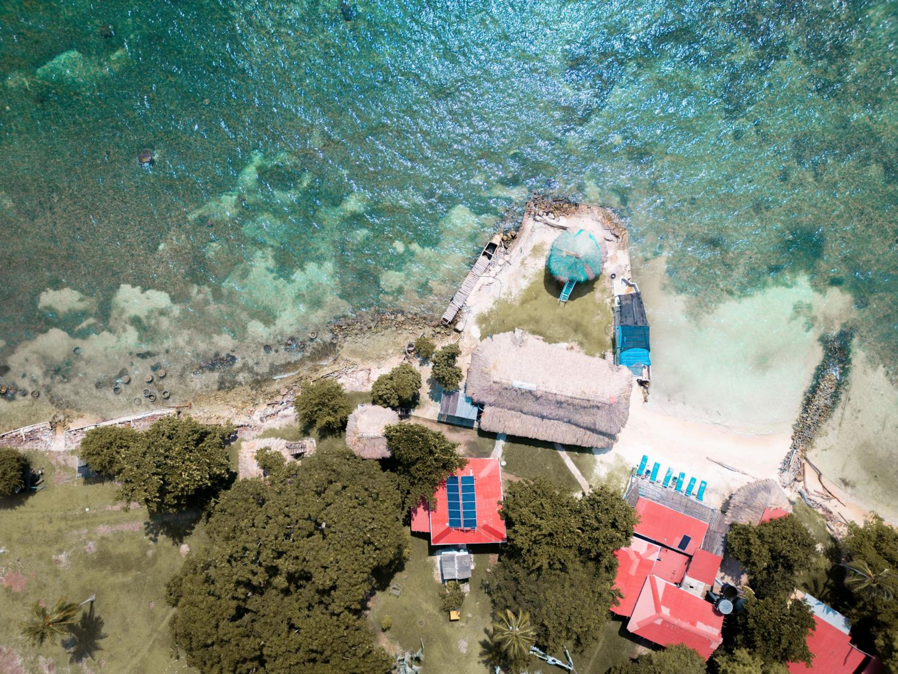 Isla Múcura Dahlandia