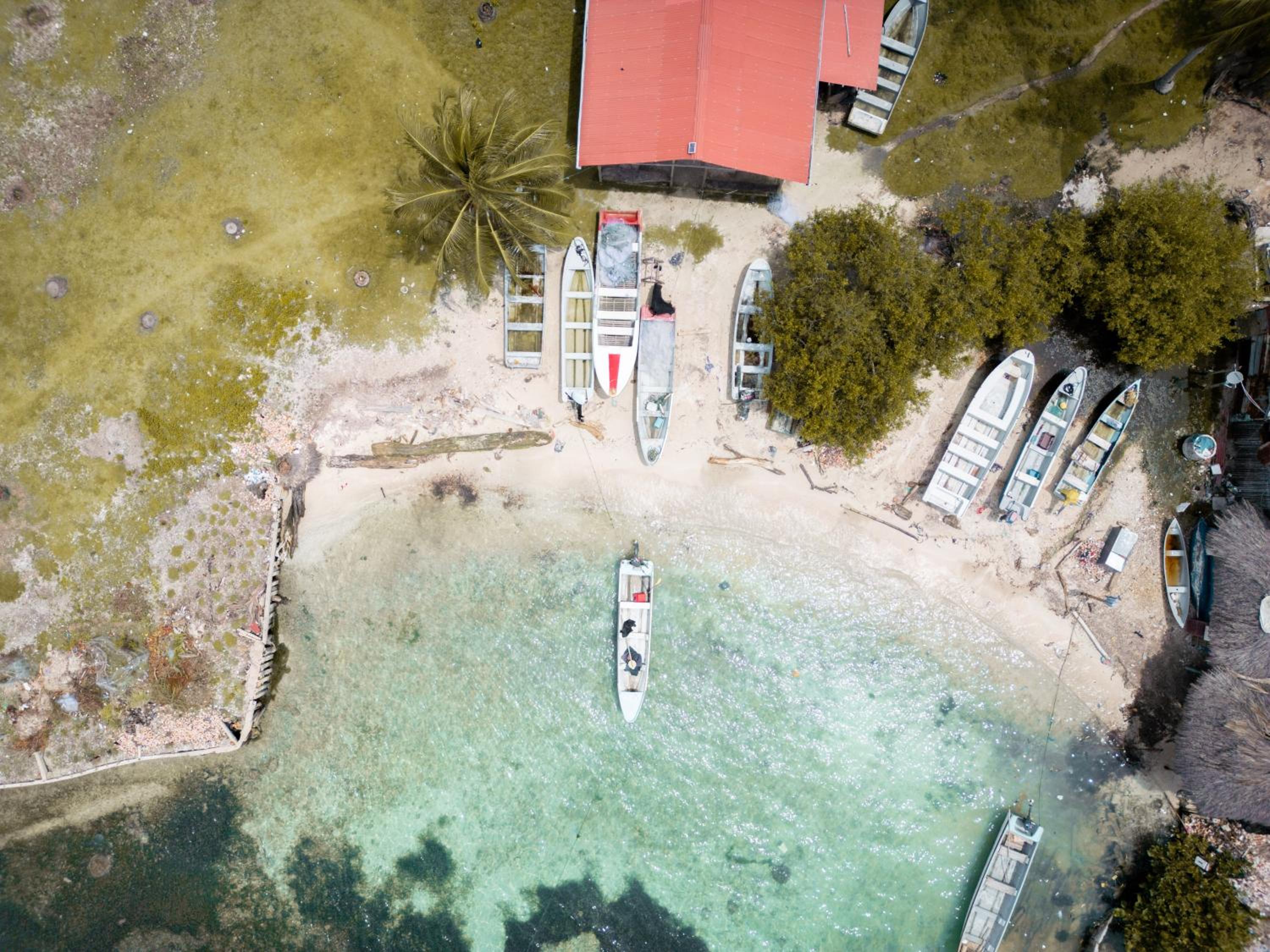 Isla Múcura Dahlandia