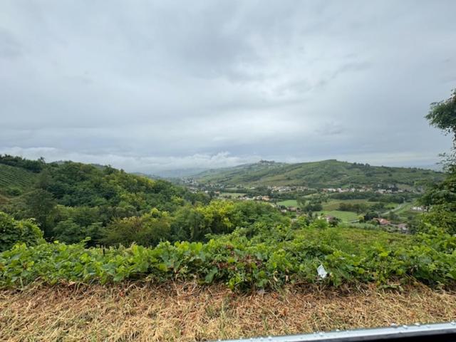 Colombara