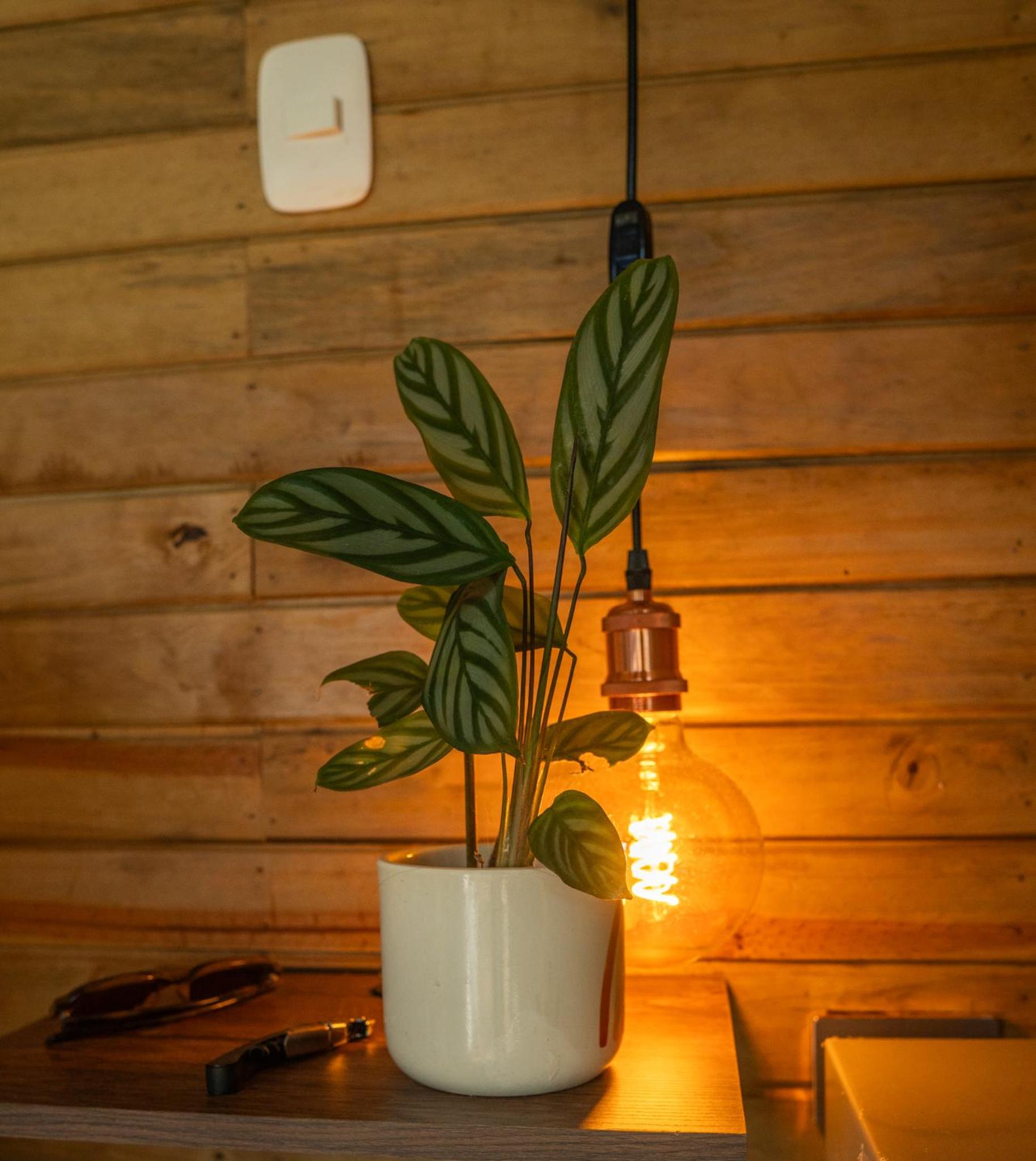 La Chagra VIP - Cabaña & Glamping en Villavicencio