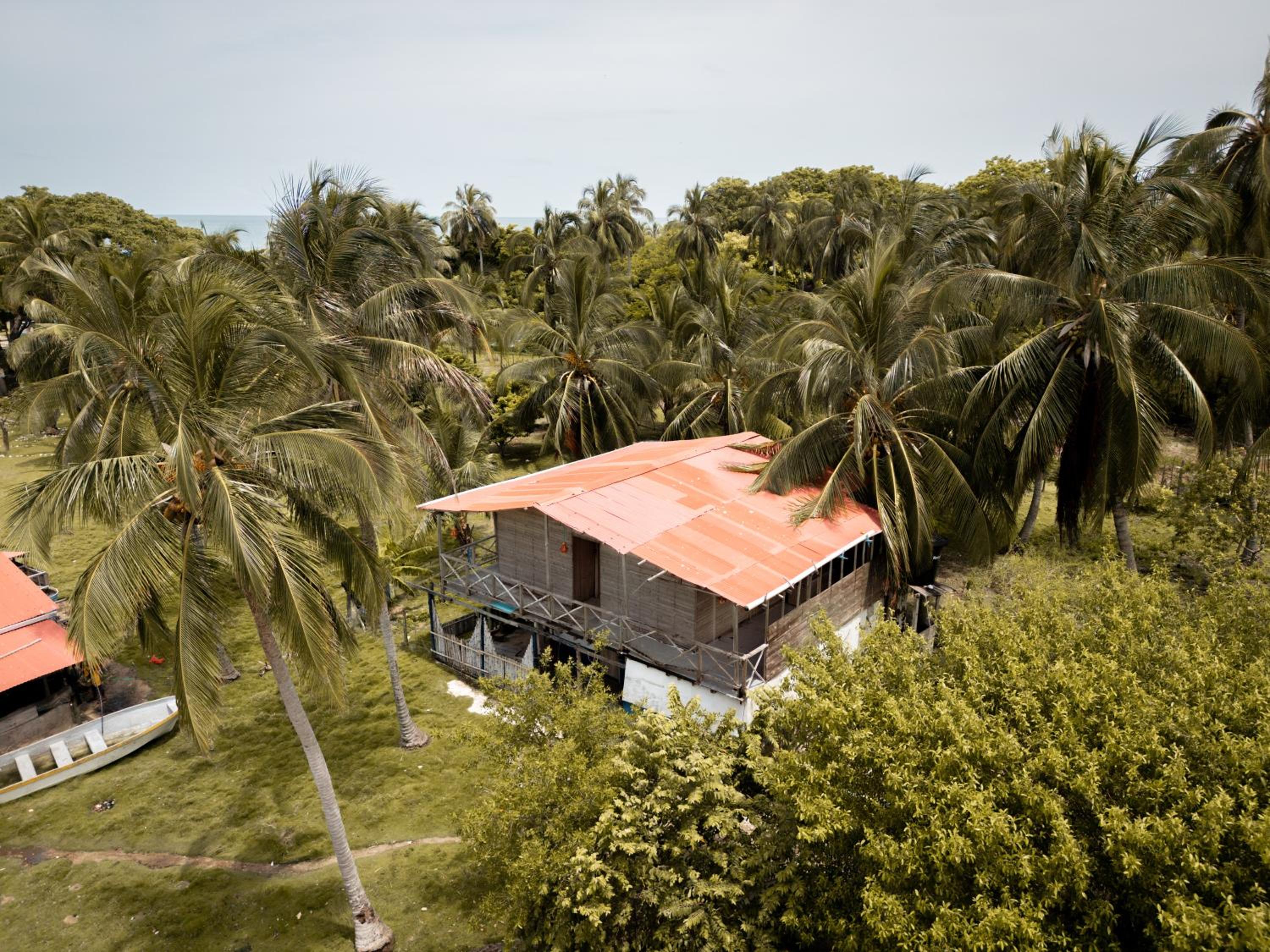 Isla Múcura Dahlandia
