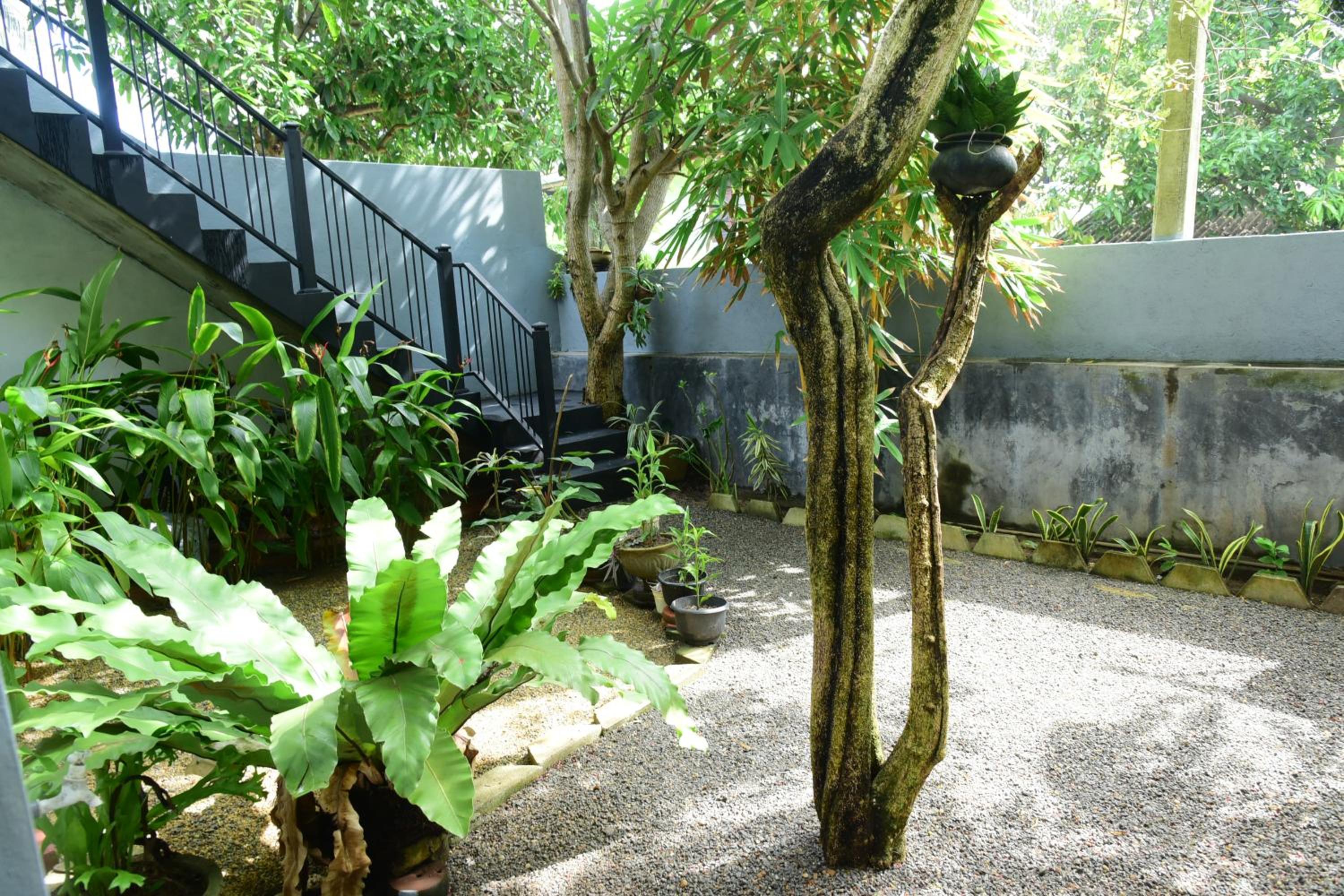 Photo 47