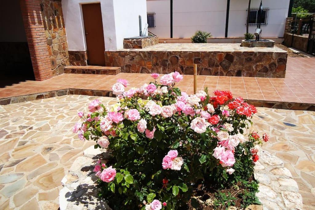 Villa Cerro Moreno