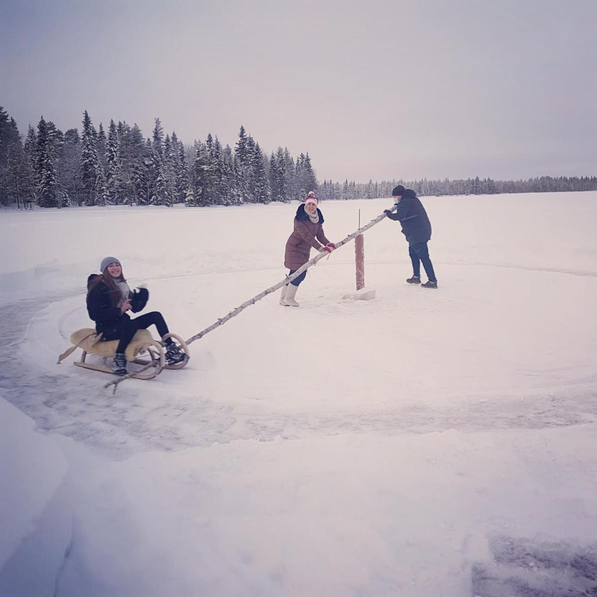 Metsä Kolo