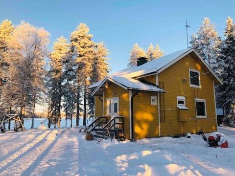 Metsä Kolo