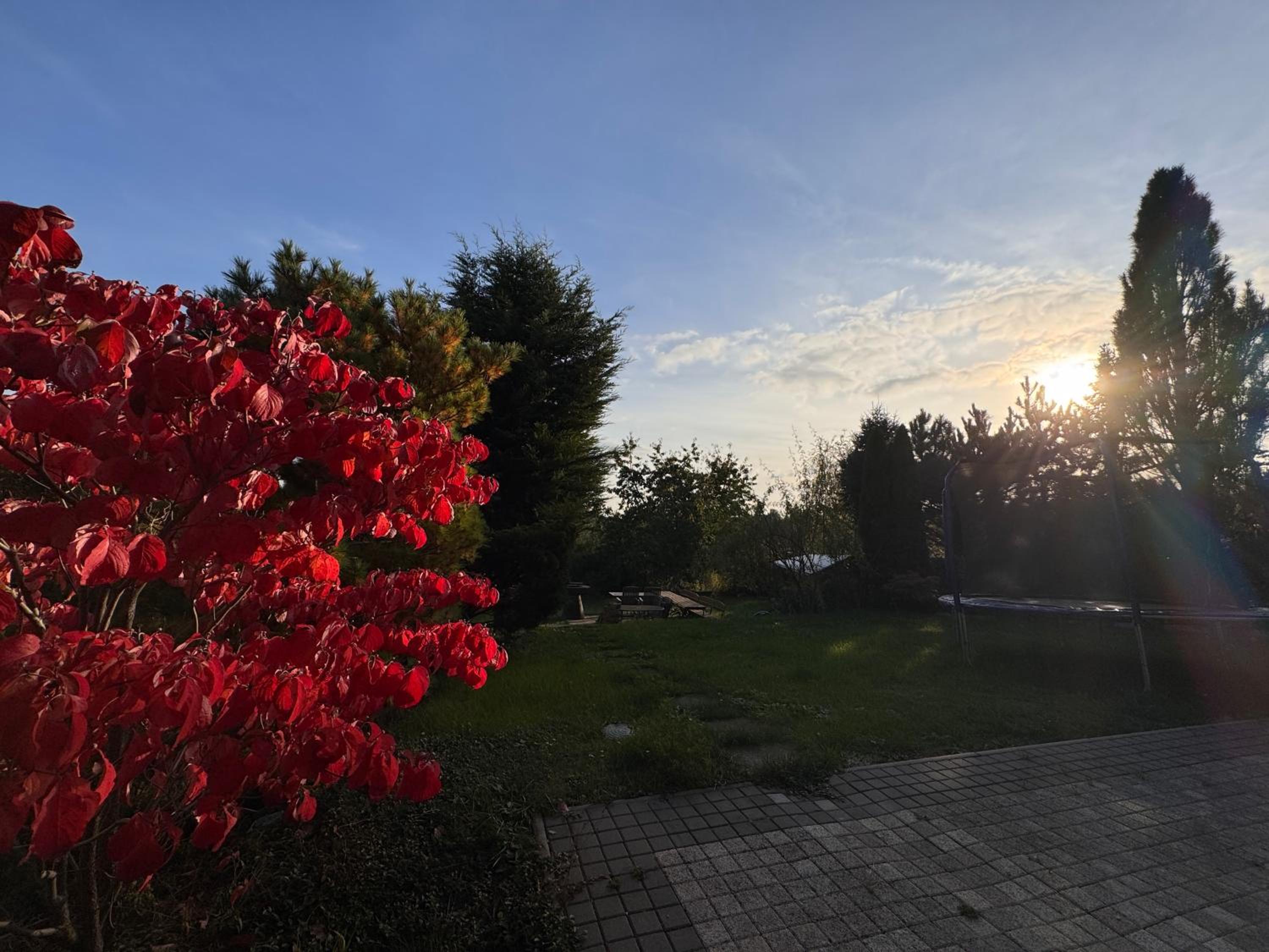 DiamondVilla, 4 bedroom Apartment, garden & spa