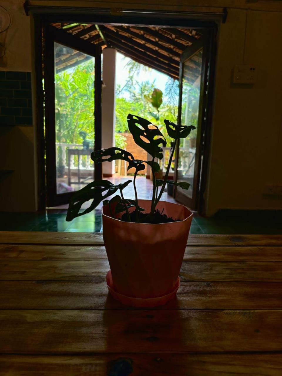 Bramha Home Stay view 2