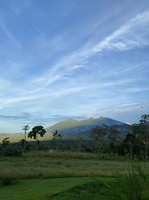 Bello Horizonte