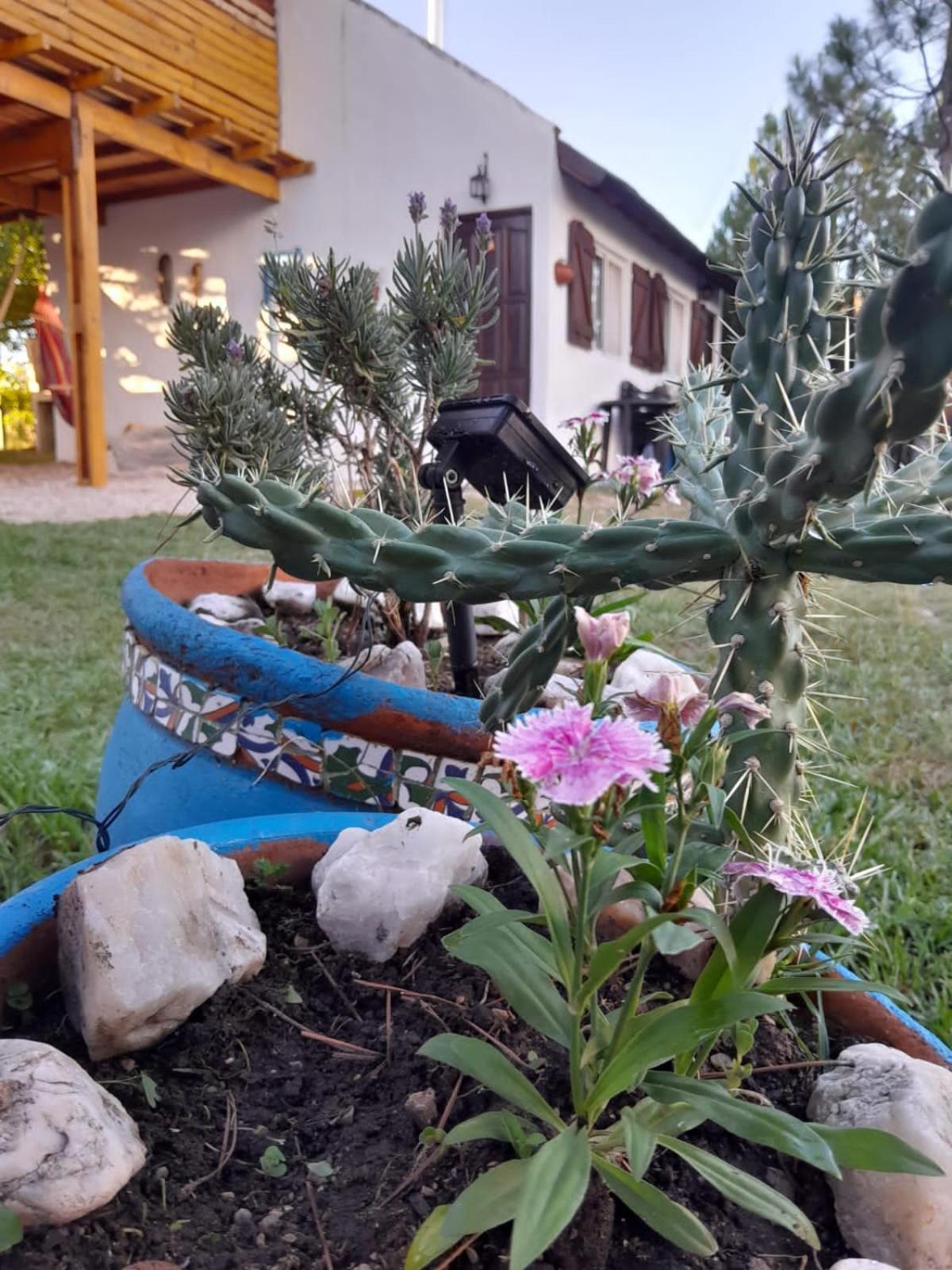 Terraza de Panaholma