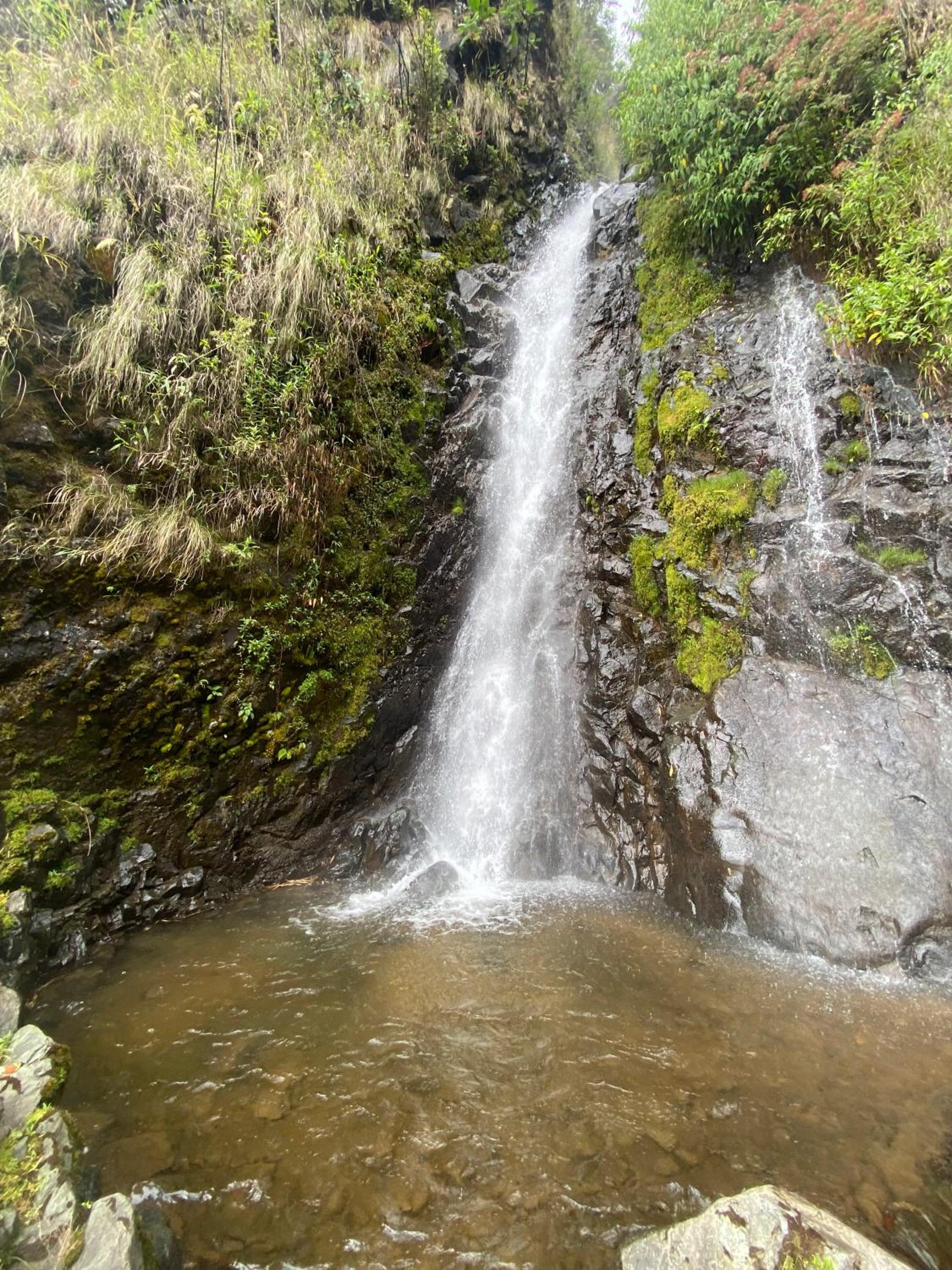 Armonia Ambiental lodge