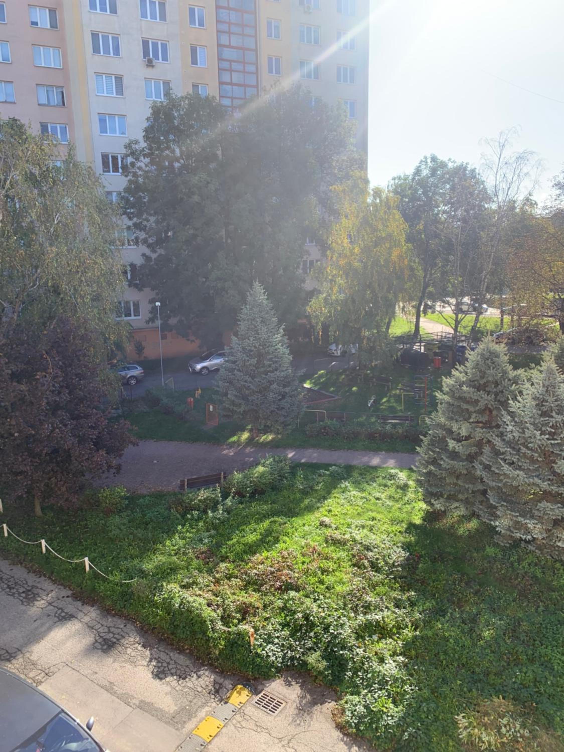 Photo 29