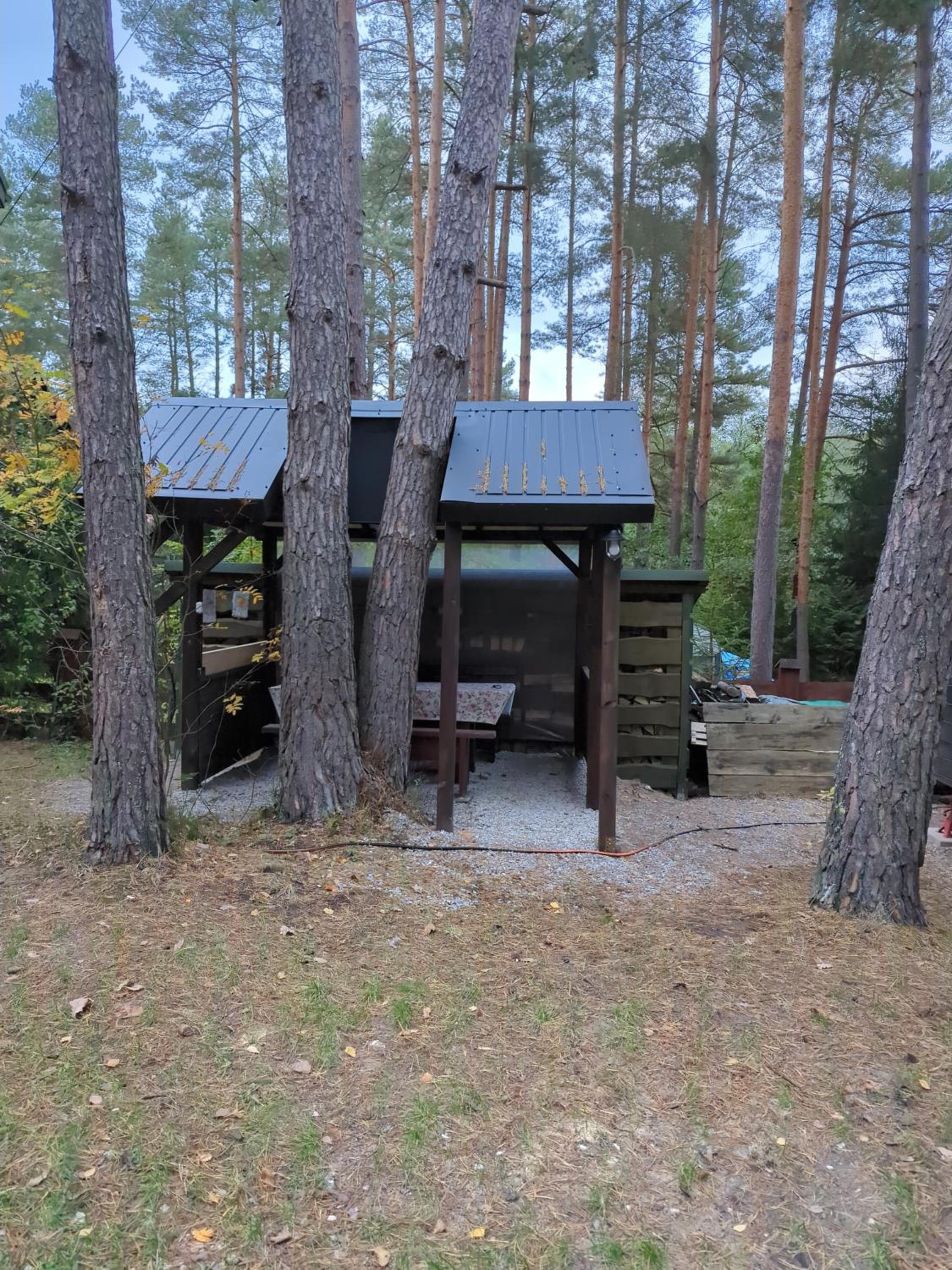 Photo 19