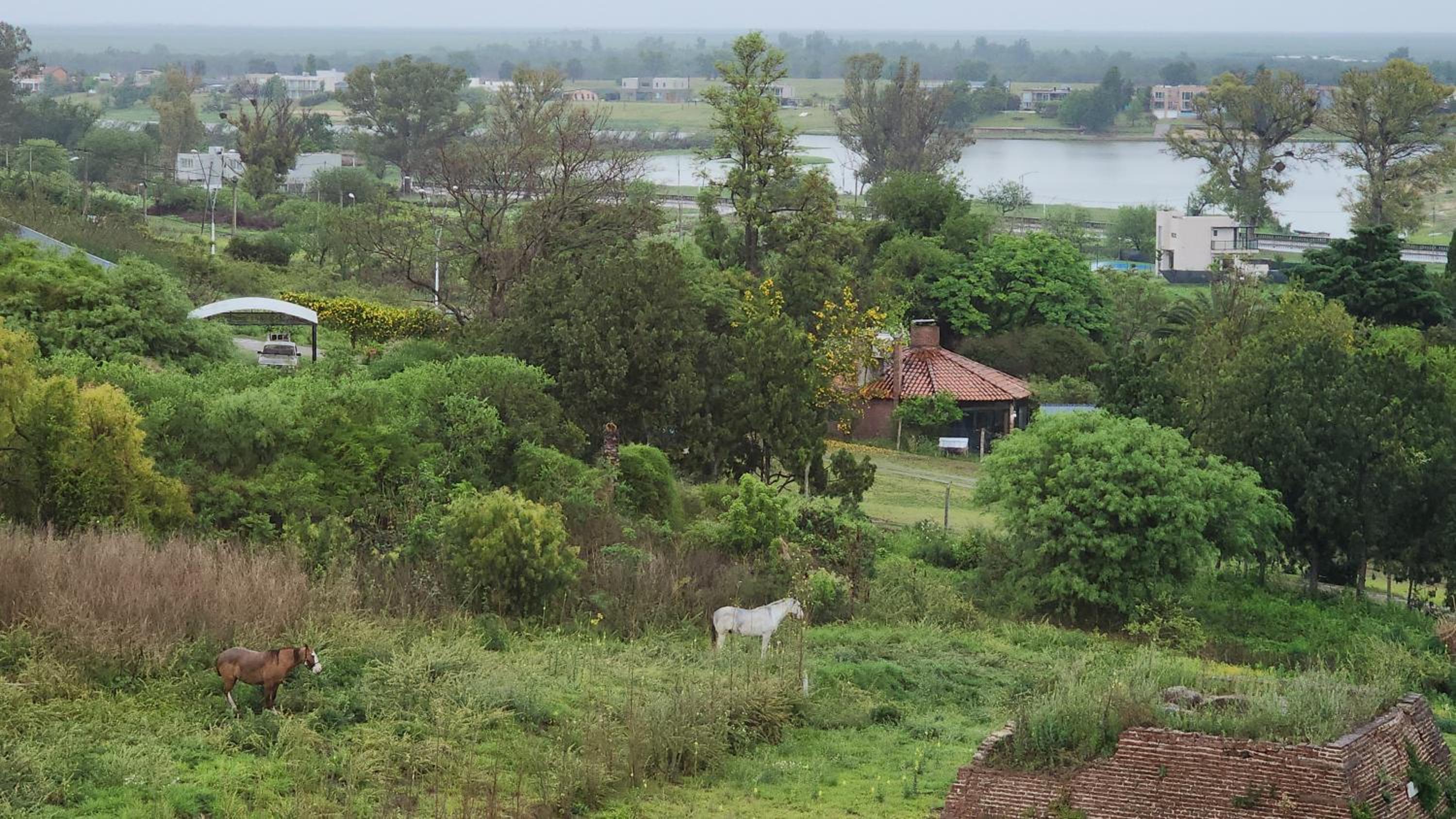 Meraki I