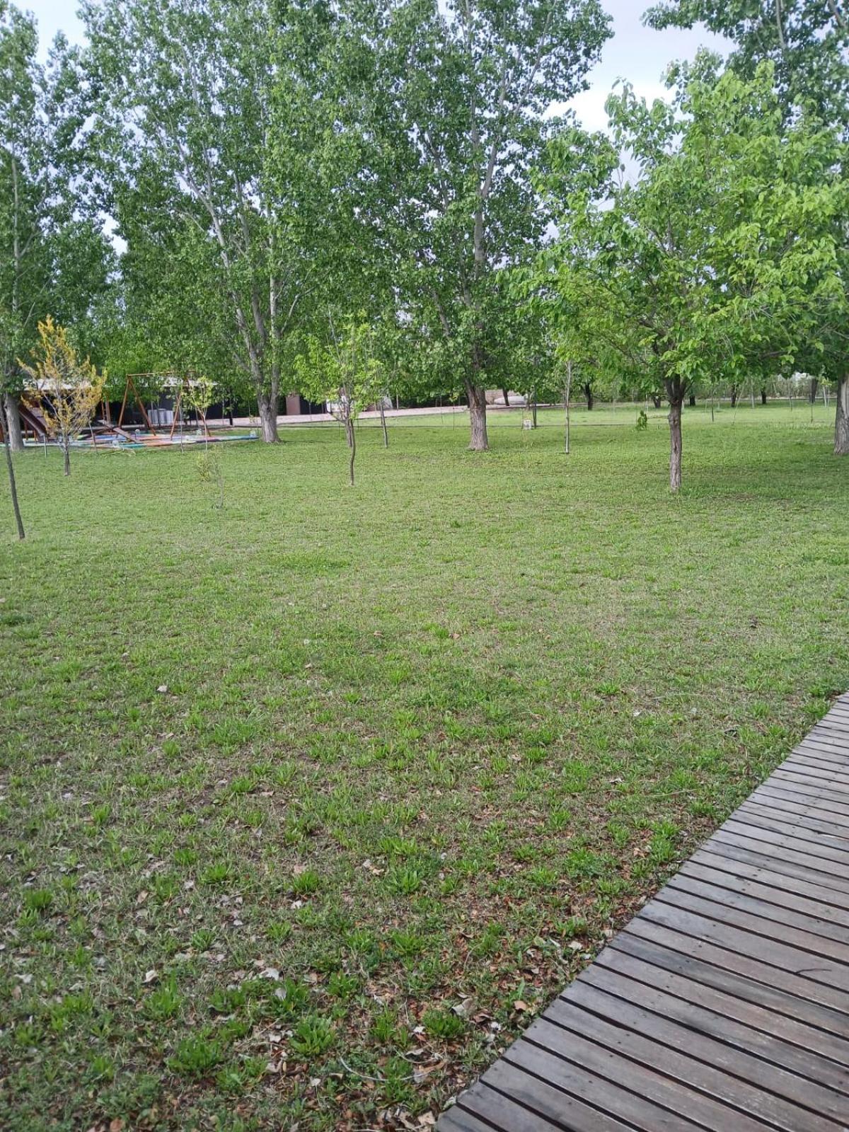 La Divina Pereza Eco