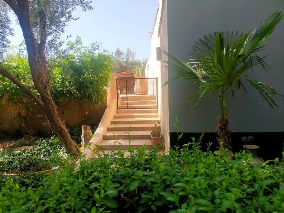 Douirhia avec piscine Le Dar Des Songes