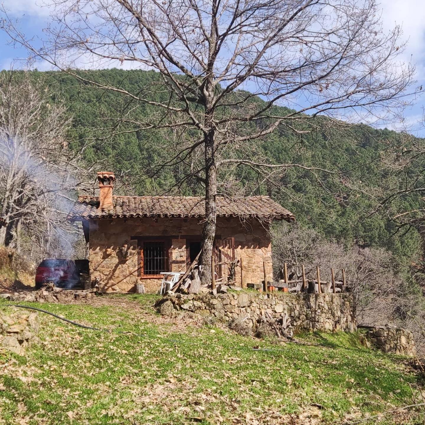 Photo 14