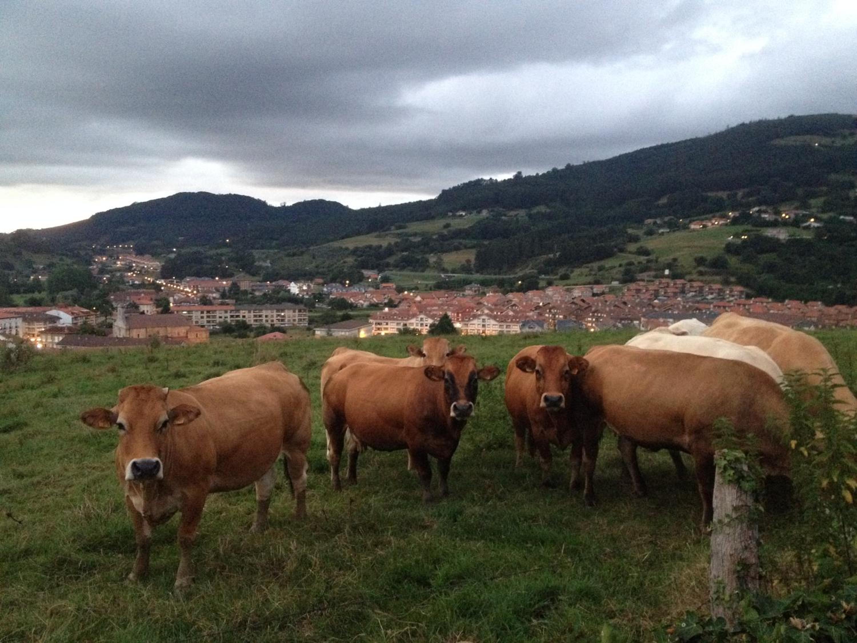Rural Resort Cantabria