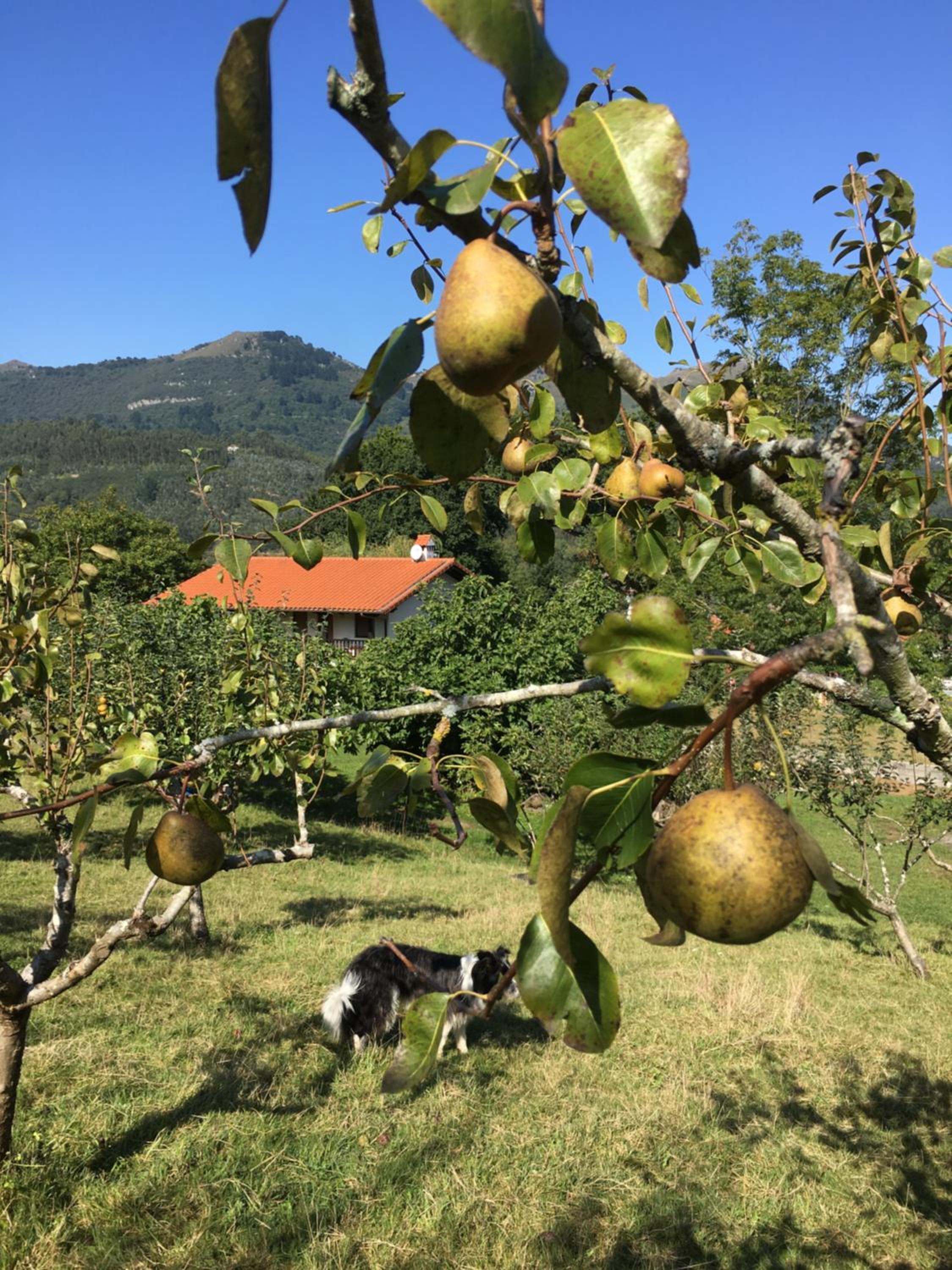 Rural Resort Cantabria