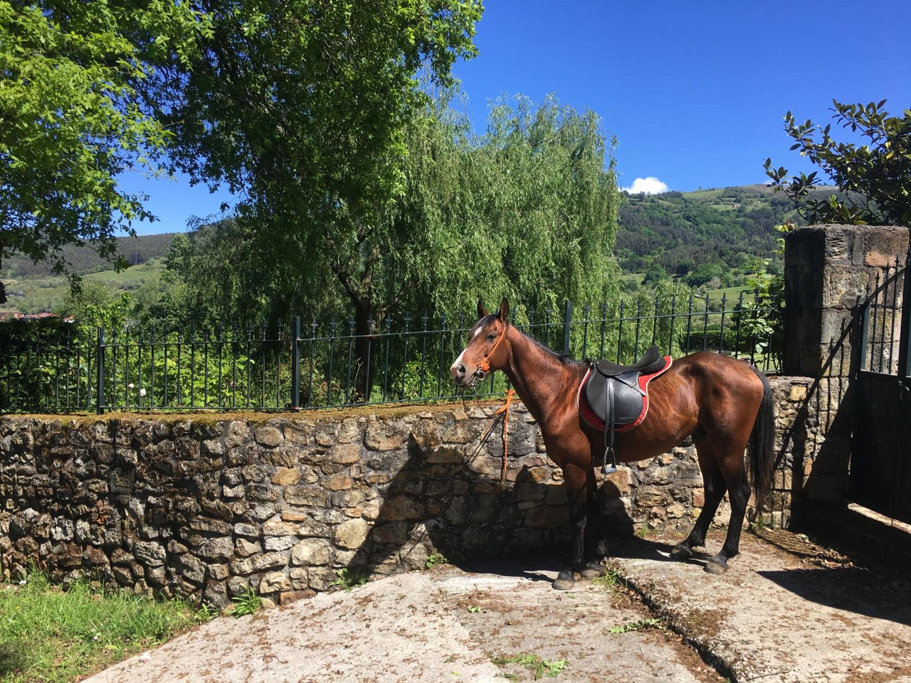 Rural Resort Cantabria