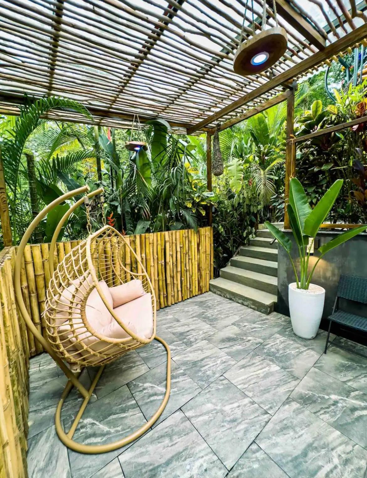 Arenal Nest