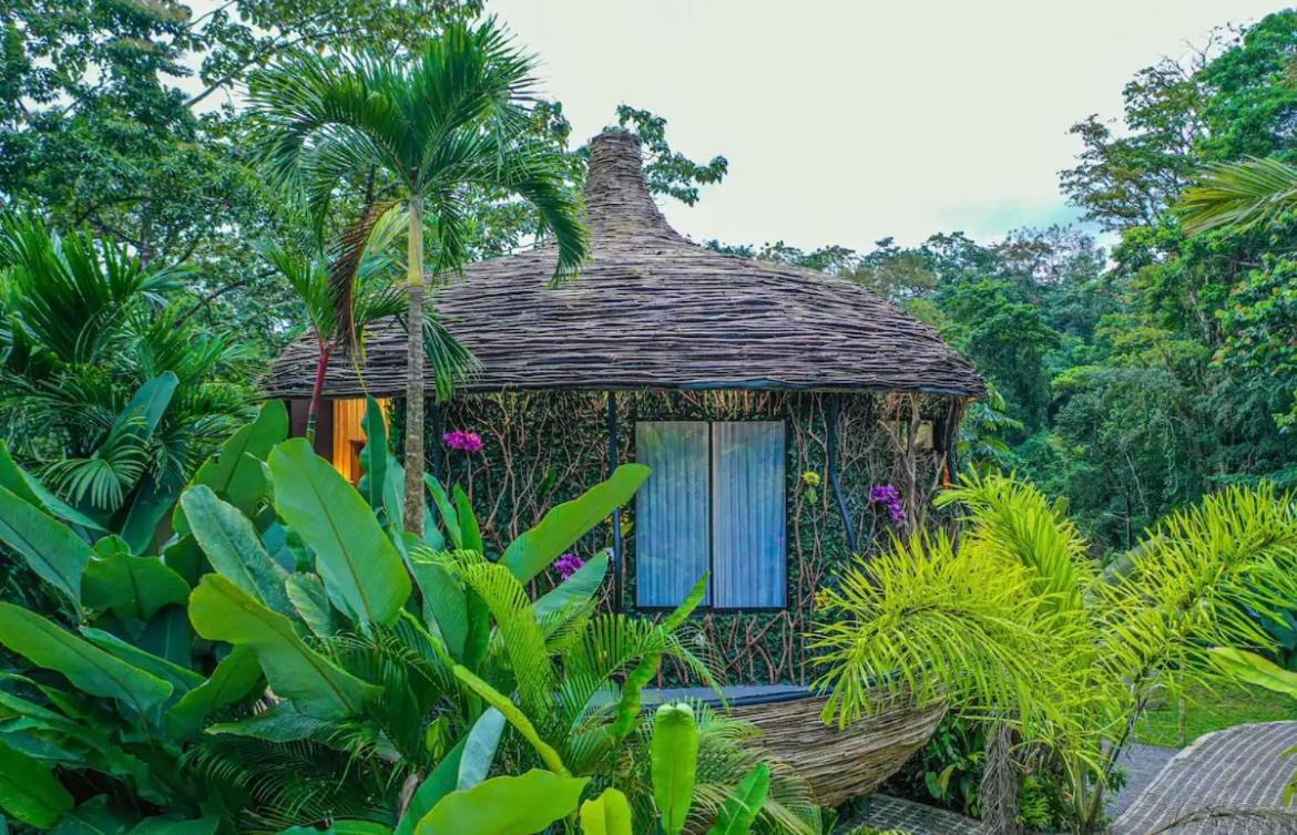 Arenal Nest