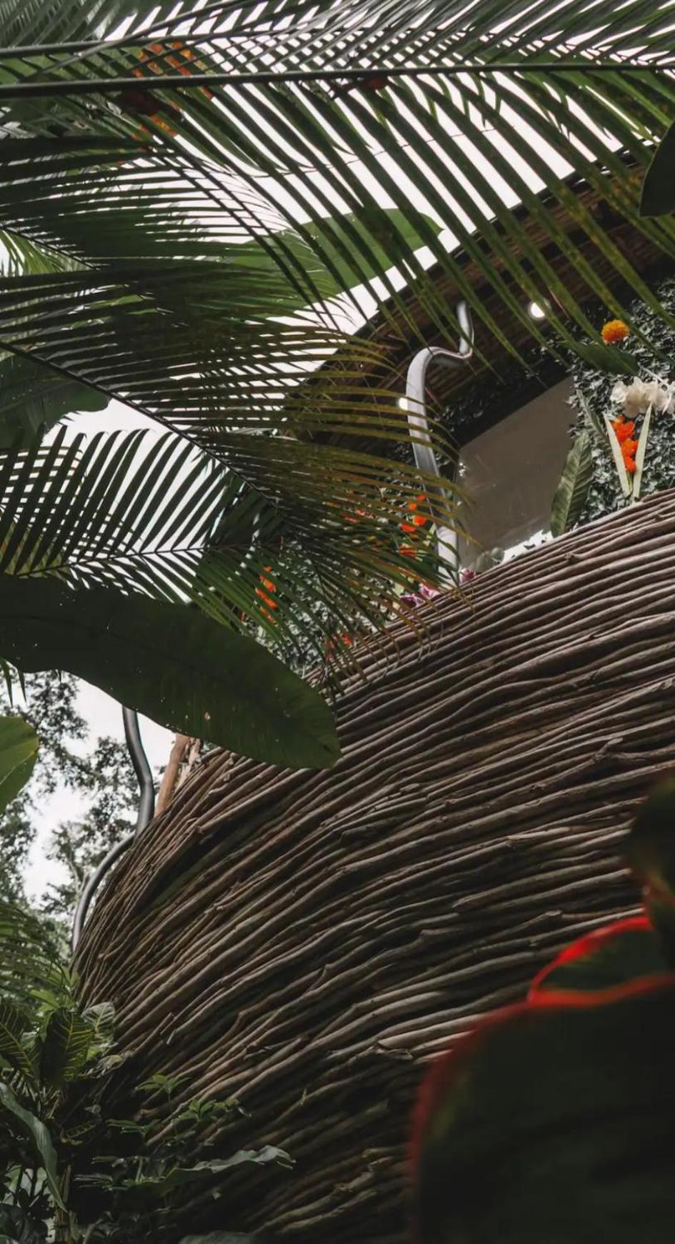 Arenal Nest