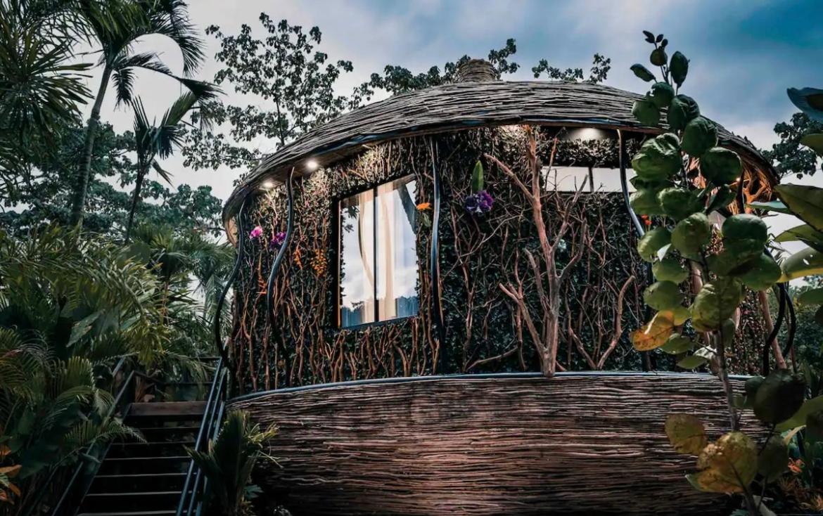 Arenal Nest