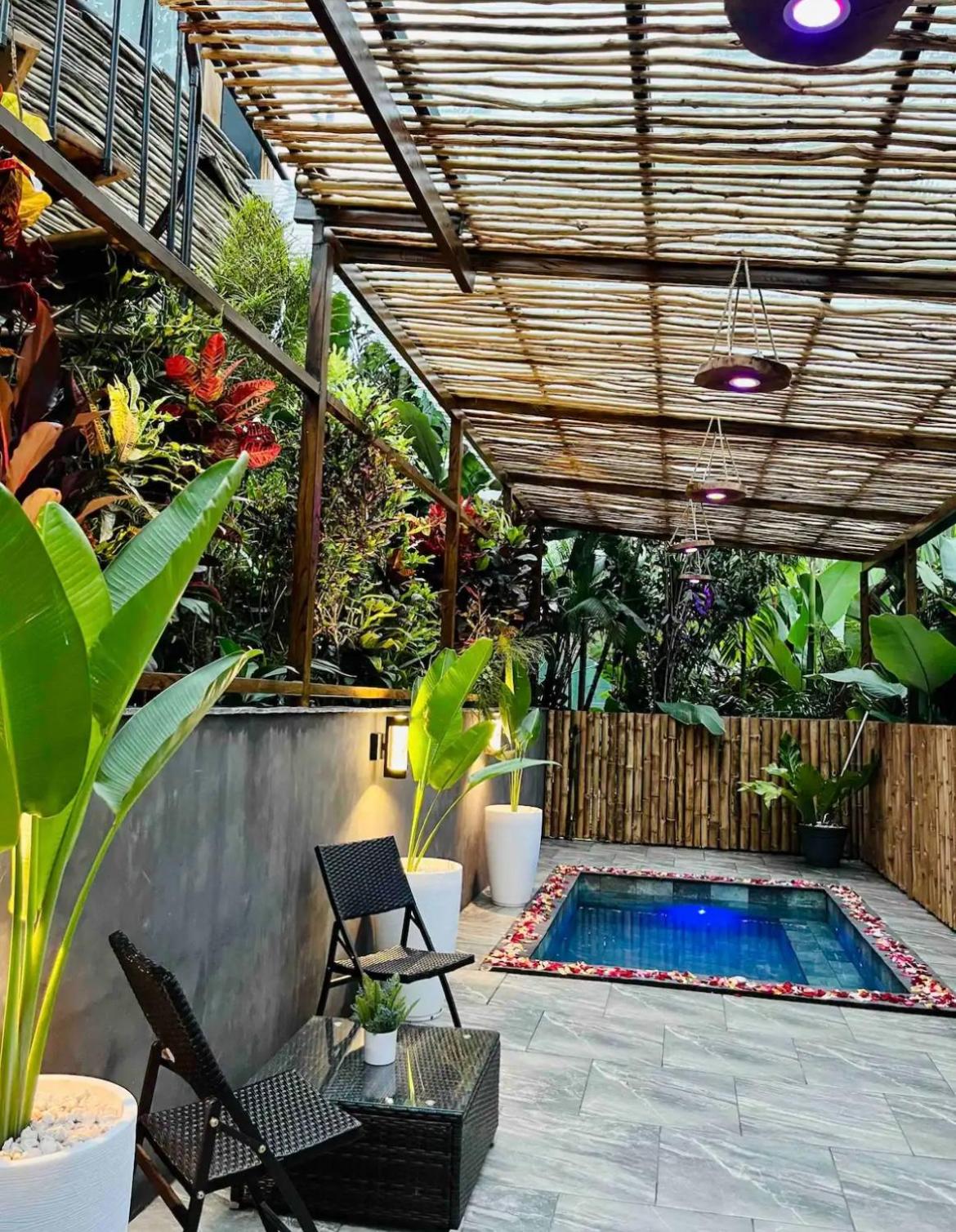 Arenal Nest