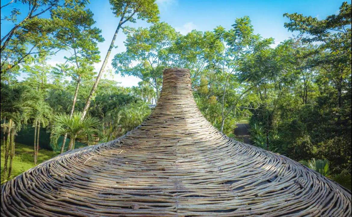Arenal Nest