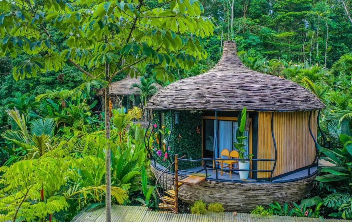 Arenal Nest