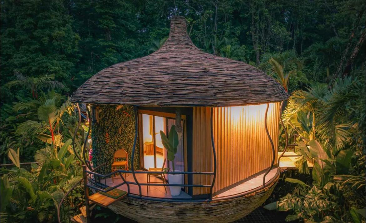Arenal Nest