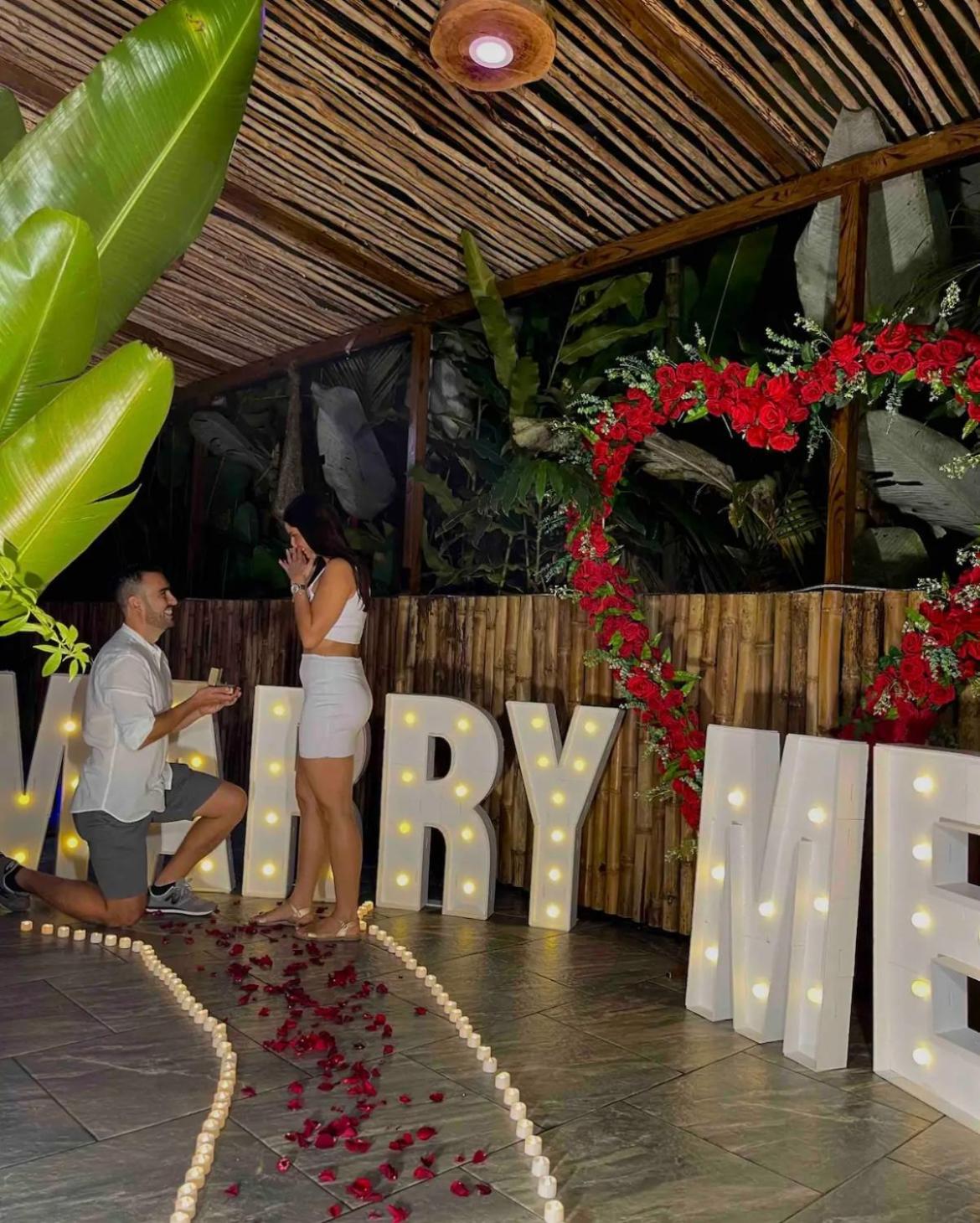 Arenal Nest