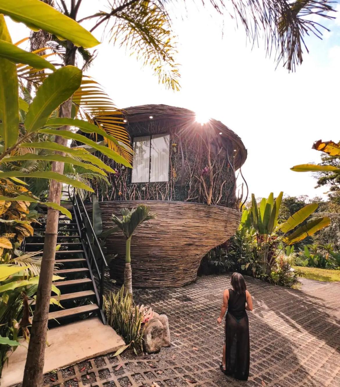 Arenal Nest