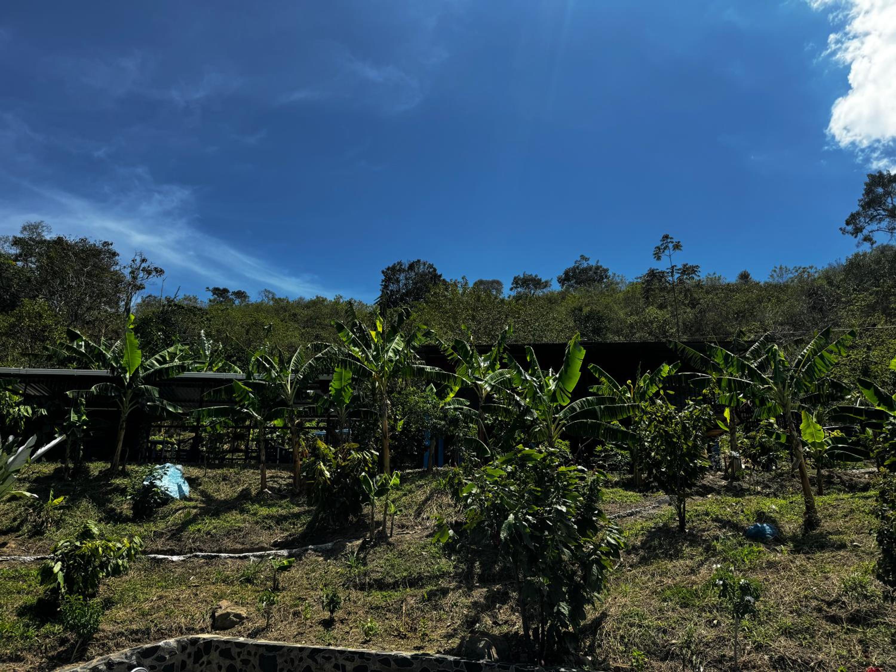 Finca la fortaleza