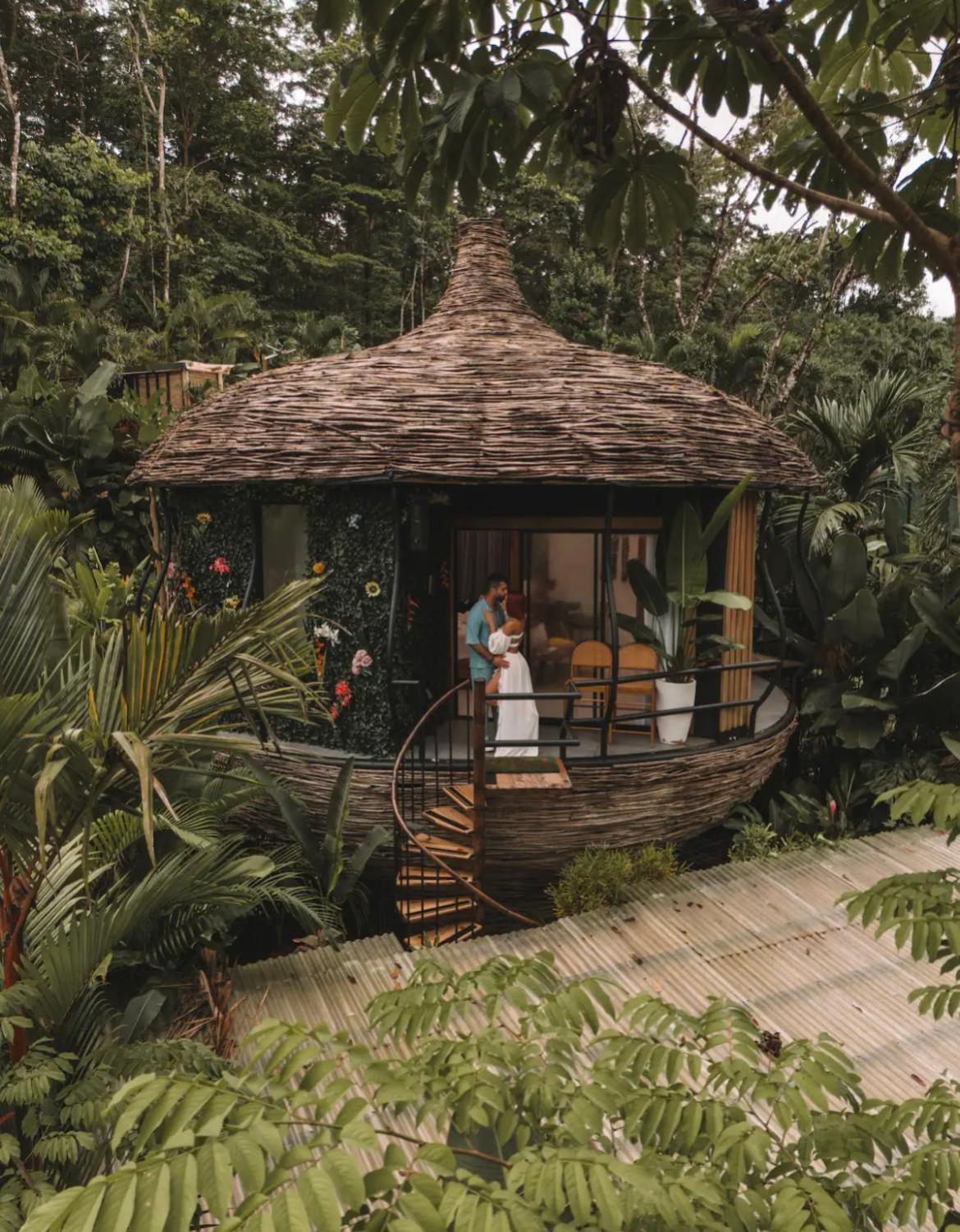 Arenal Nest