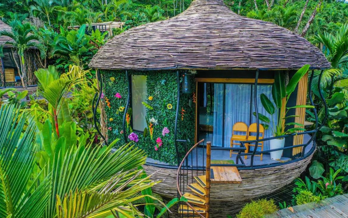Arenal Nest