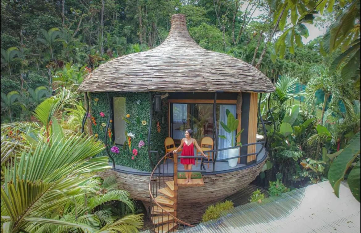 Arenal Nest