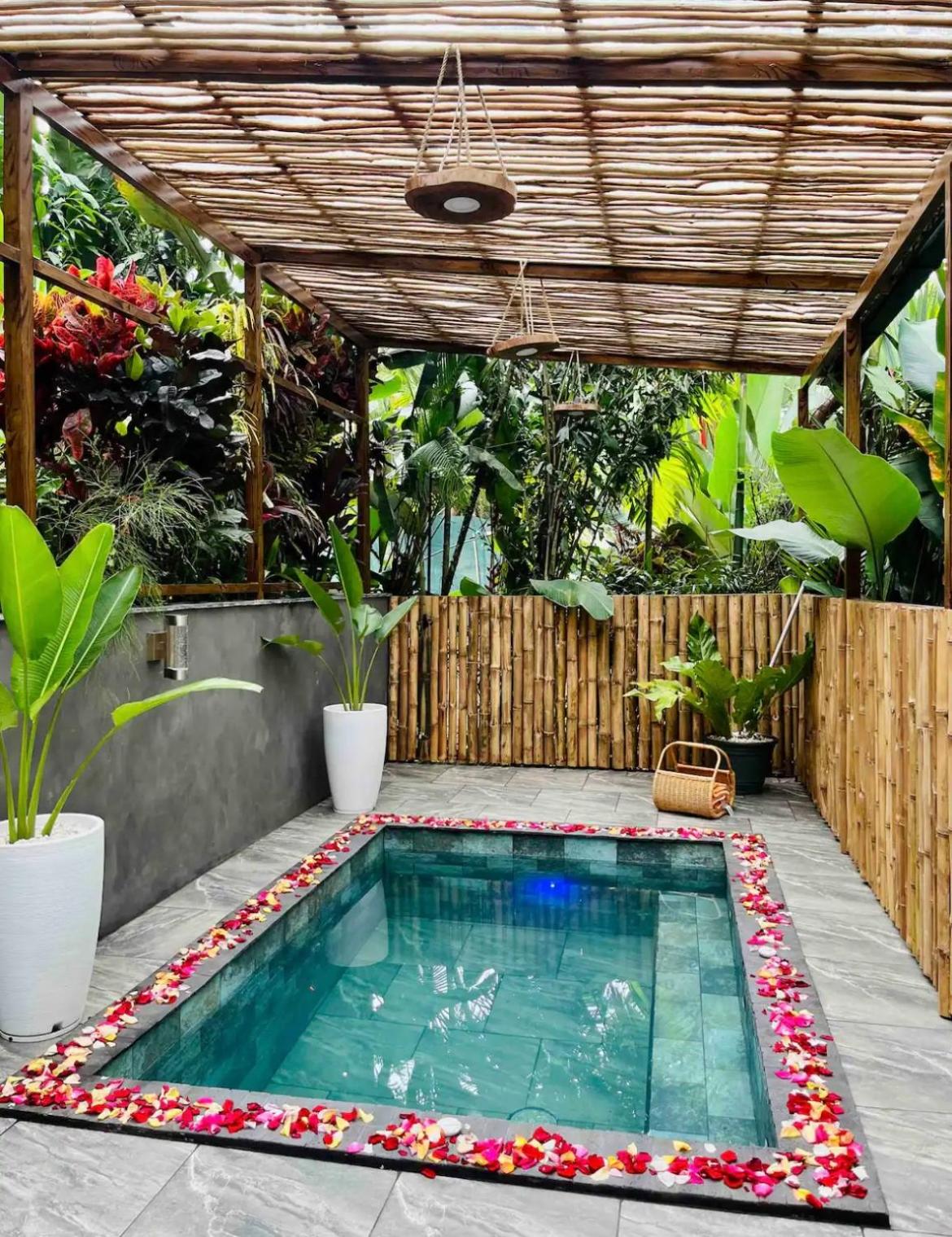 Arenal Nest
