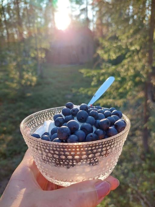 Kotoisa hirsihuvila Ylläksellä
