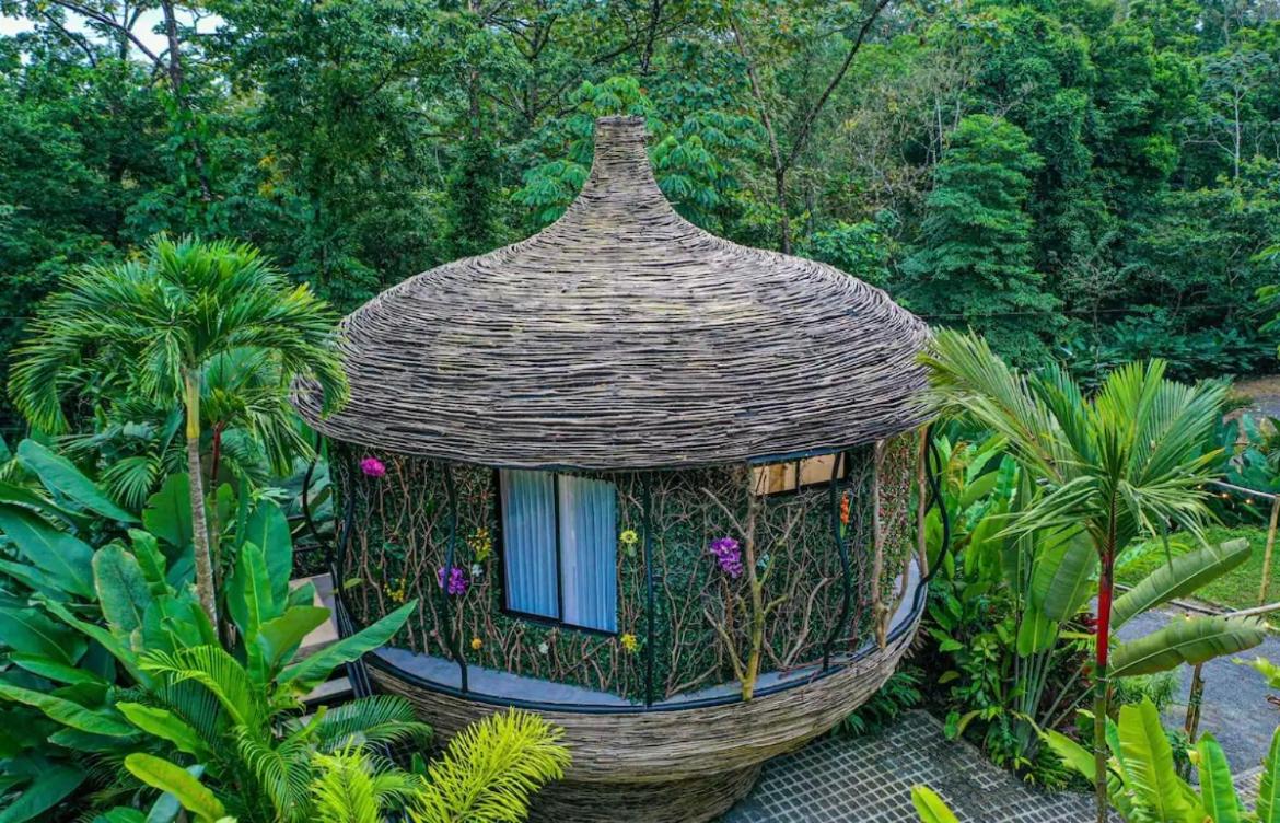 Arenal Nest