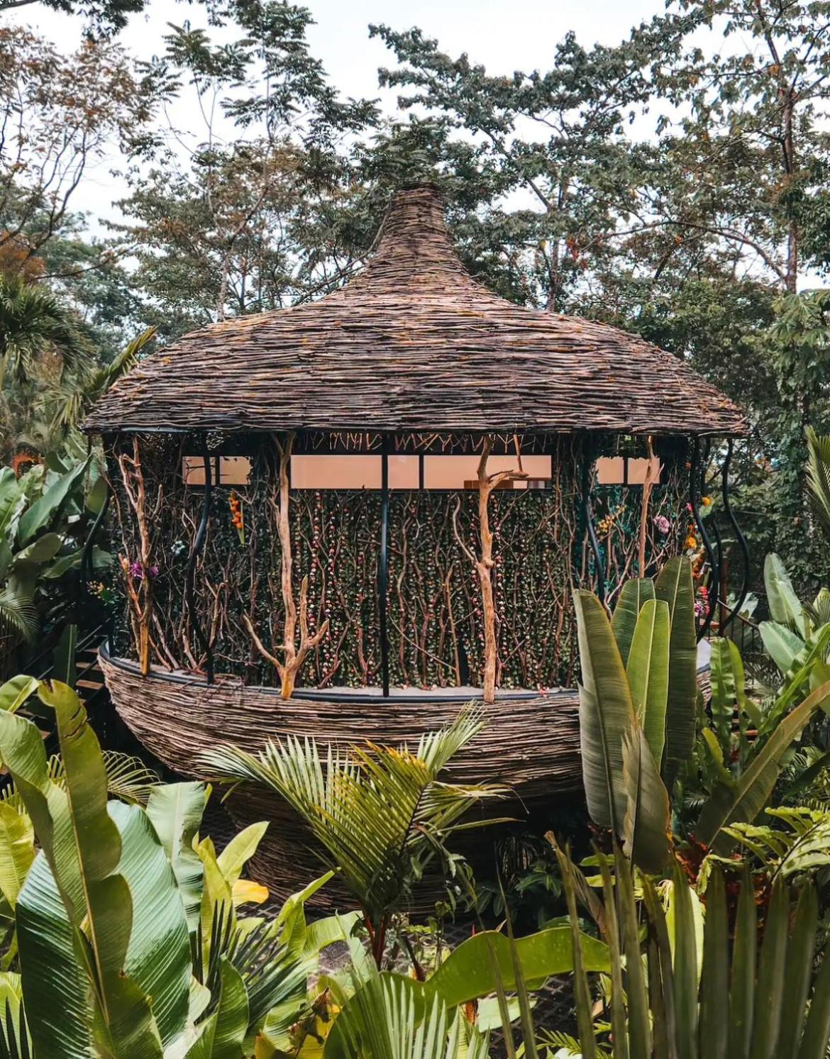 Arenal Nest