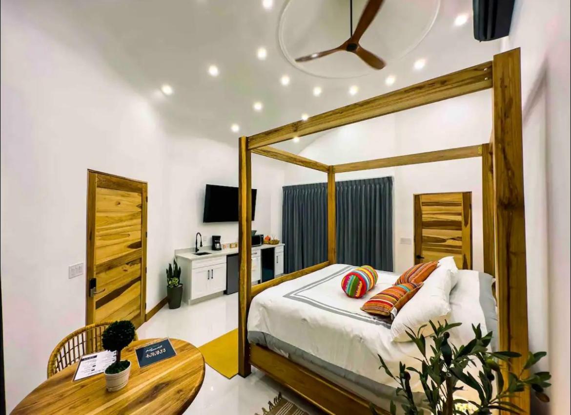 Arenal Nest